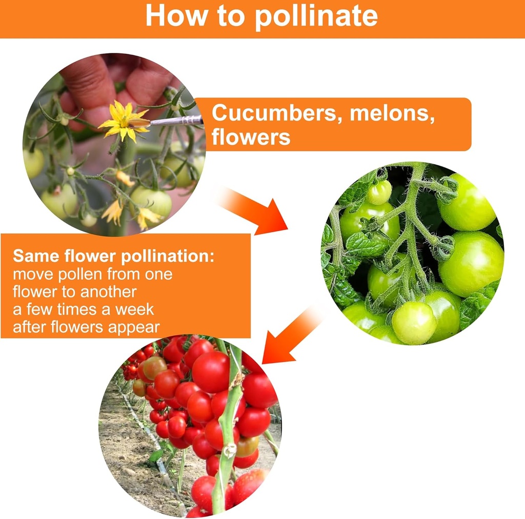 pollinating-brush-for-improving-pollinat-5.jpg