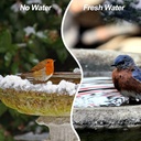 2024-upgrade-bird-bath-heater-deicer-bir-3.jpg
