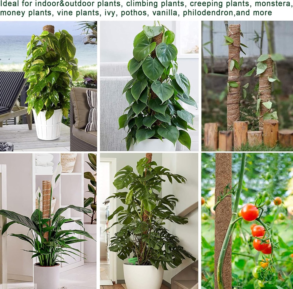 moss-pole-475-inch---monstera-plant-supp-5.jpg