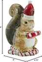 park-designs-farmhouse-squirrel-cookie-j-4.jpg