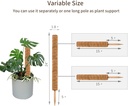joyseus-30-inch-moss-pole-for-climbing-p-2.jpg