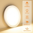 flush-mount-ceiling-light-fixtures---300-2.jpg