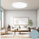 hamilyeah-20-inch-ceiling-light-flush-mo-3.jpg