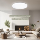 hamilyeah-20-inch-ceiling-light-flush-mo-4.jpg