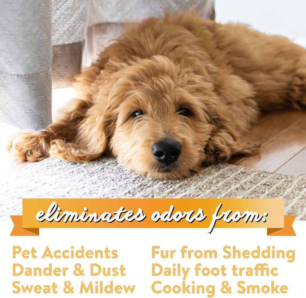bodhi-dog-natural-carpet-deodorizer-powd-5.jpg