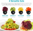 shine-kitchen-co-ses-100-electric-vegeta-3.jpg