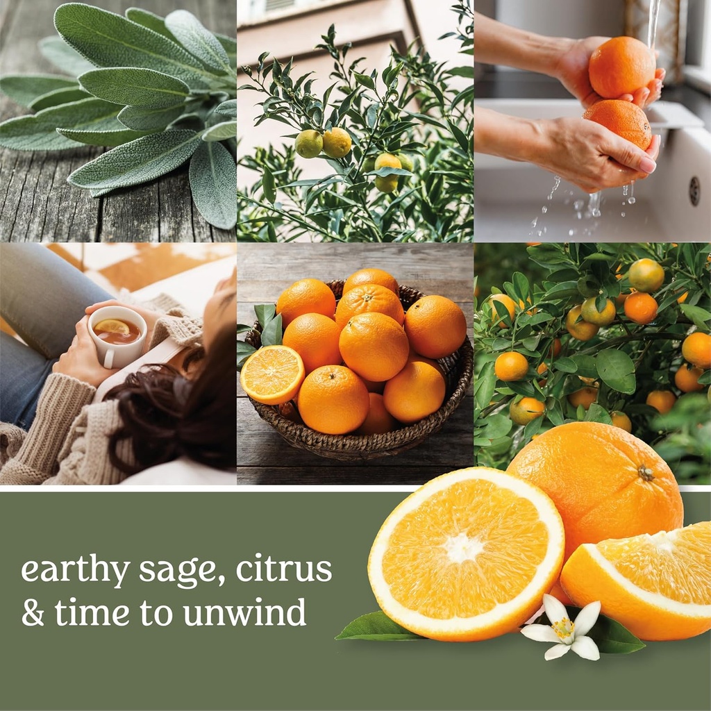 yankee-candle-sage-citrus-scented-classi-4.jpg
