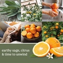 yankee-candle-sage-citrus-scented-classi-4.jpg