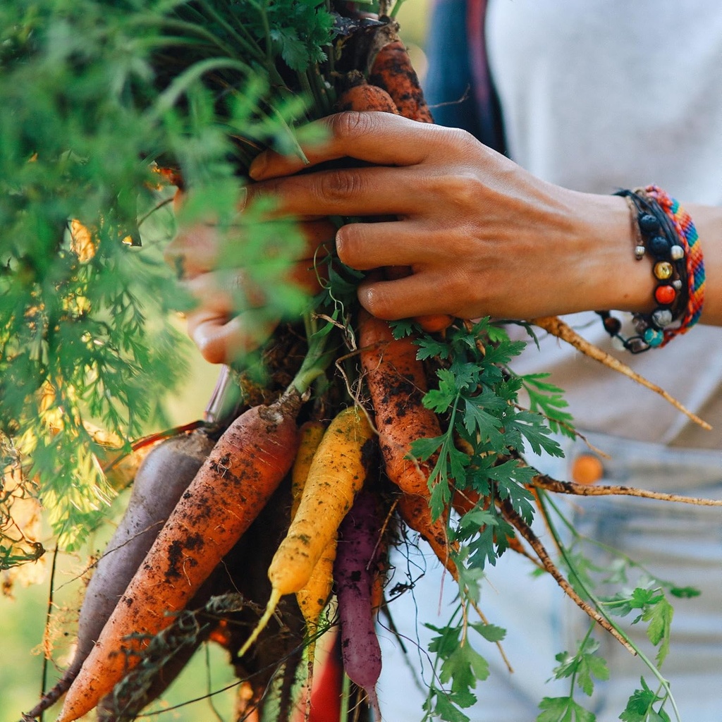 organic-carrot-seeds-rainbow-blend---app-5.jpg