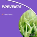 bonide-stump-out-granules-do-it-yourself-3.jpg