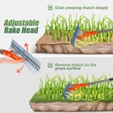 walensee-thatch-rake-15-inch-lawn-thatch-5.jpg