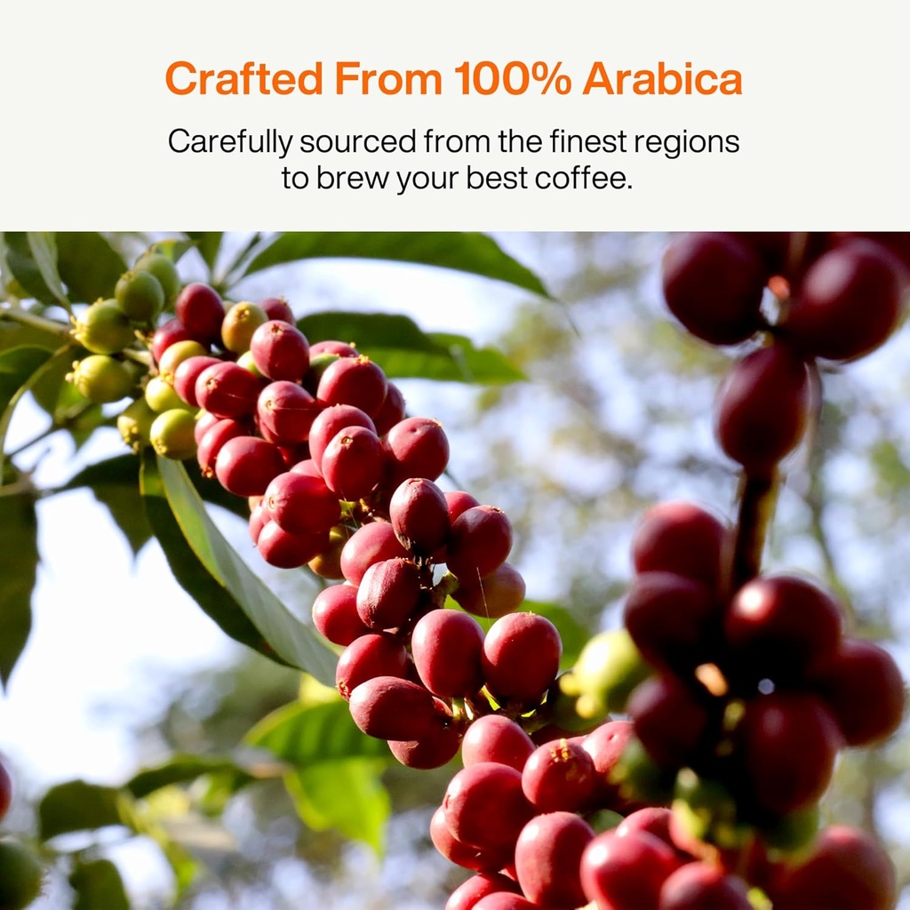 saturnbird-coffee-instant-cold-brew-medi-5.jpg