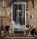 crazy-bonez-creepy-skeleton-mice-6.jpg