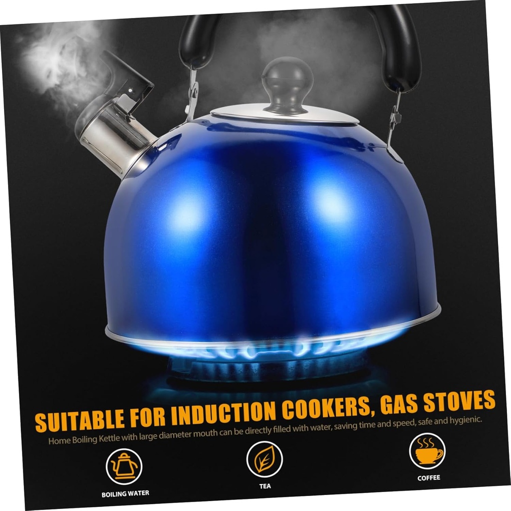alipis-electric-tea-kettle-stainless-ste-2.jpg