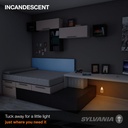 sylvania-incandescent-7w-c7-night-light--4.jpg