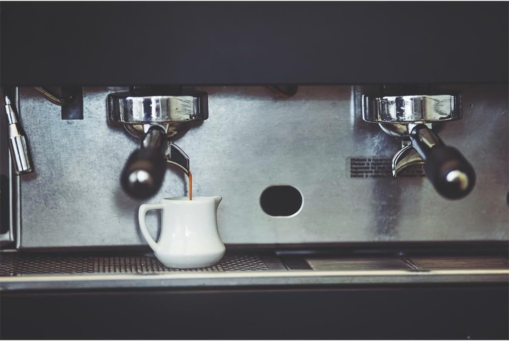 gaggia-decalcifier-descaler-solution-250-3.jpg