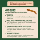 hatortempt-chicken-feed-dried-mealworms--5.jpg