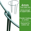 higift-8-pack-24-inch-plant-support-stak-4.jpg