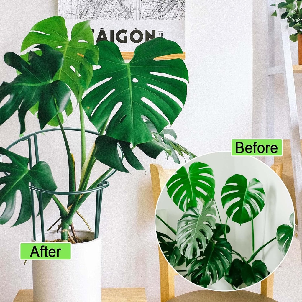 higift-8-pack-24-inch-plant-support-stak-5.jpg