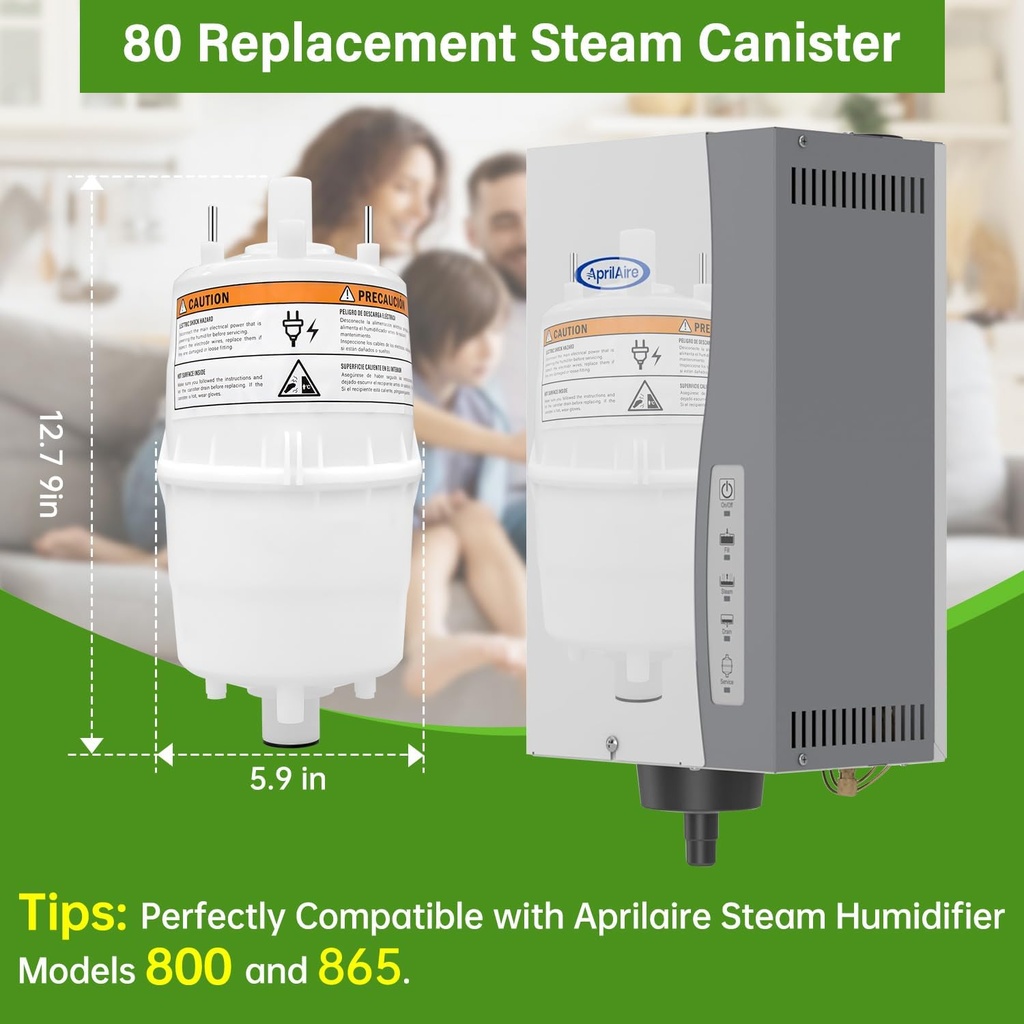 80-steam-canister-replacement-for-aprila-2.jpg