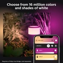 philips-hue-calla-outdoor-smart-pathway--5.jpg
