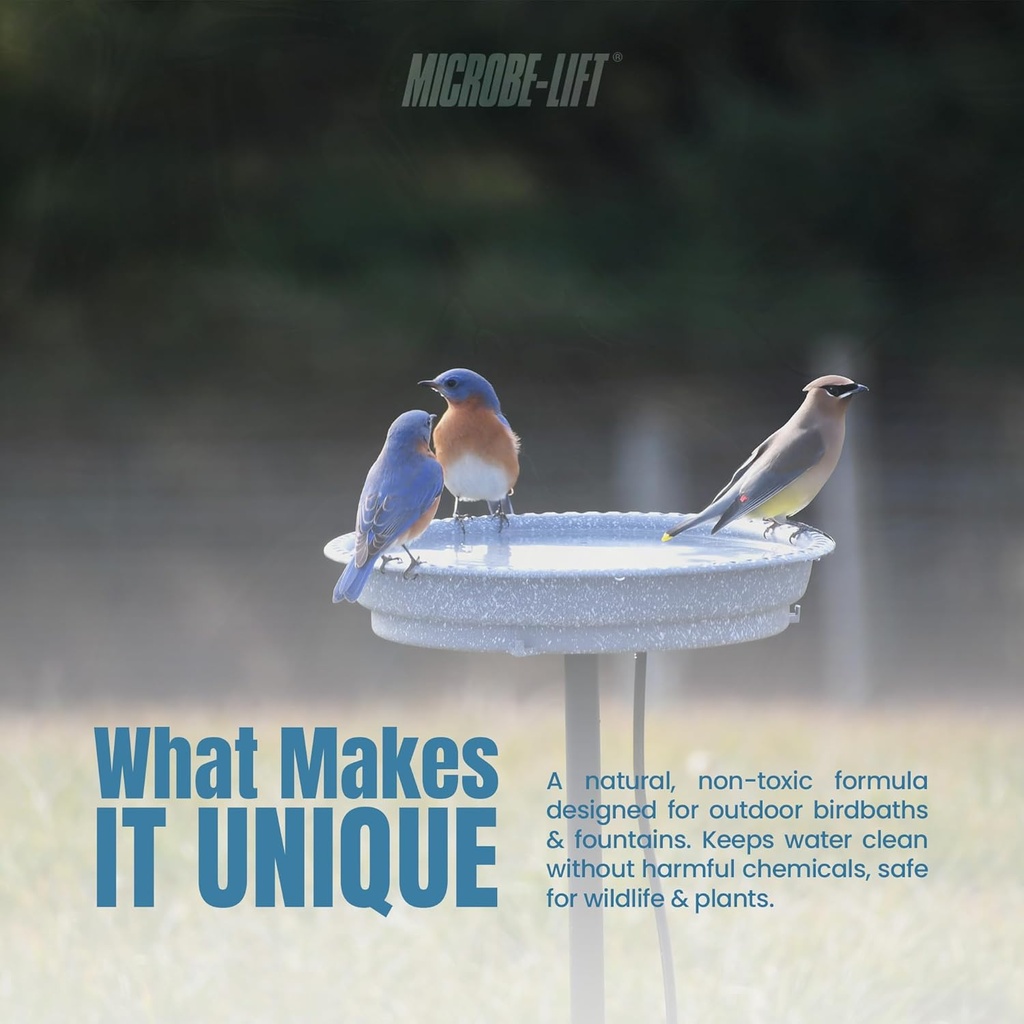 microbe-lift-bird-bath-clear-two-in-one--4.jpg