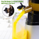 vertical-slow-masticating-pure-juicer-co-5.jpg