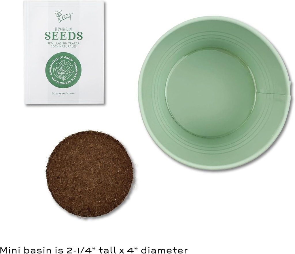 buzzy-seeds-sage-green-painted-basin-str-3.jpg