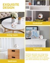 2-pack-charming-lucky-cat-ceramic-toilet-6.jpg