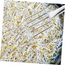 bean-sprout-fork-stainless-steel-garden--6.jpg