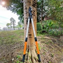 heavy-duty-tree-pruner-sync-drive-power--5.jpg