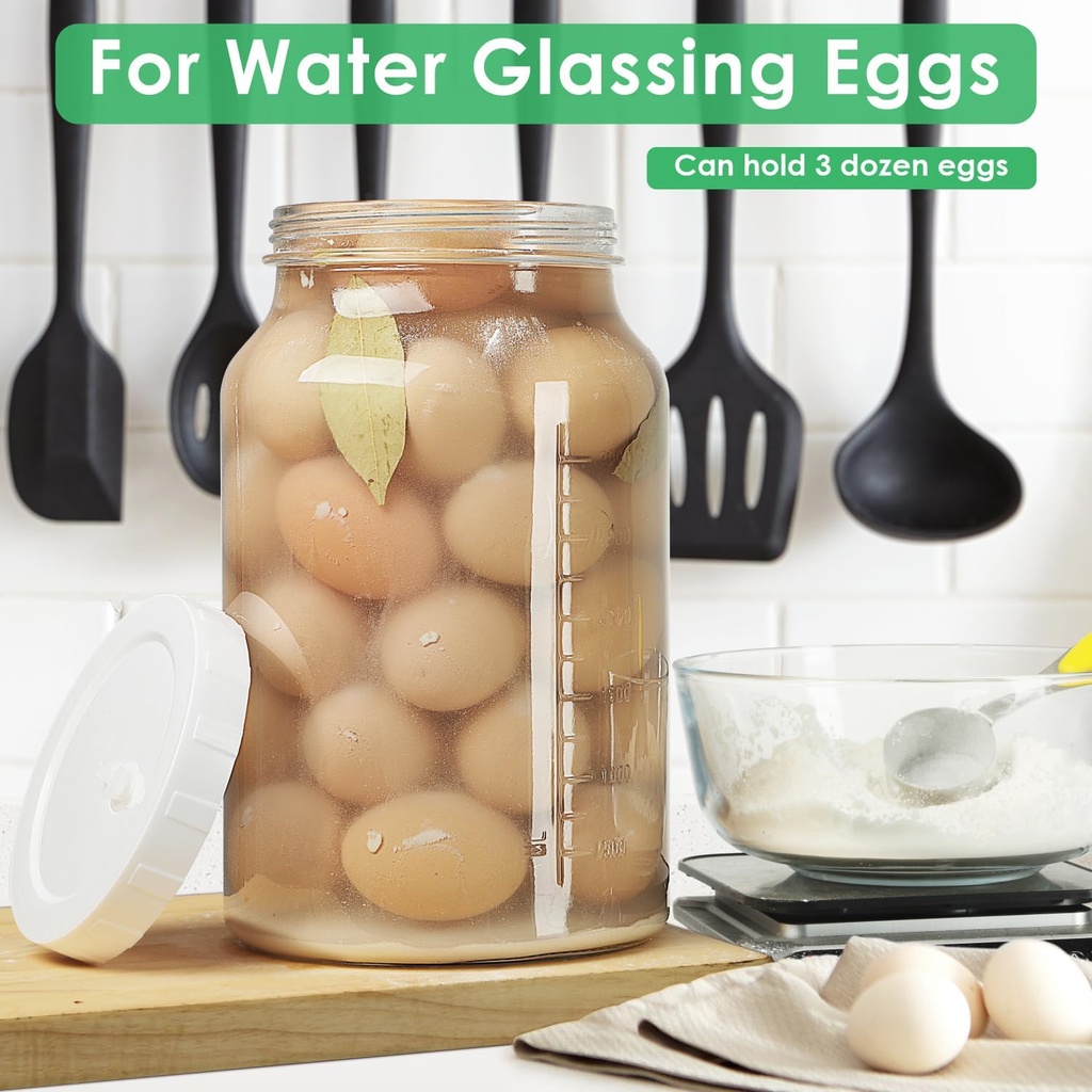 1-gallon-large-fermentation-jar-with-air-3.jpg