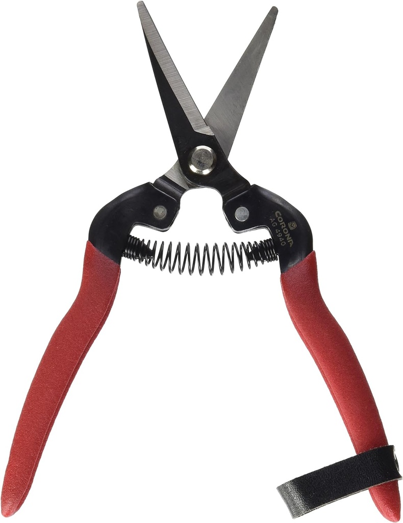 corona-long-curved-snip-2.jpg