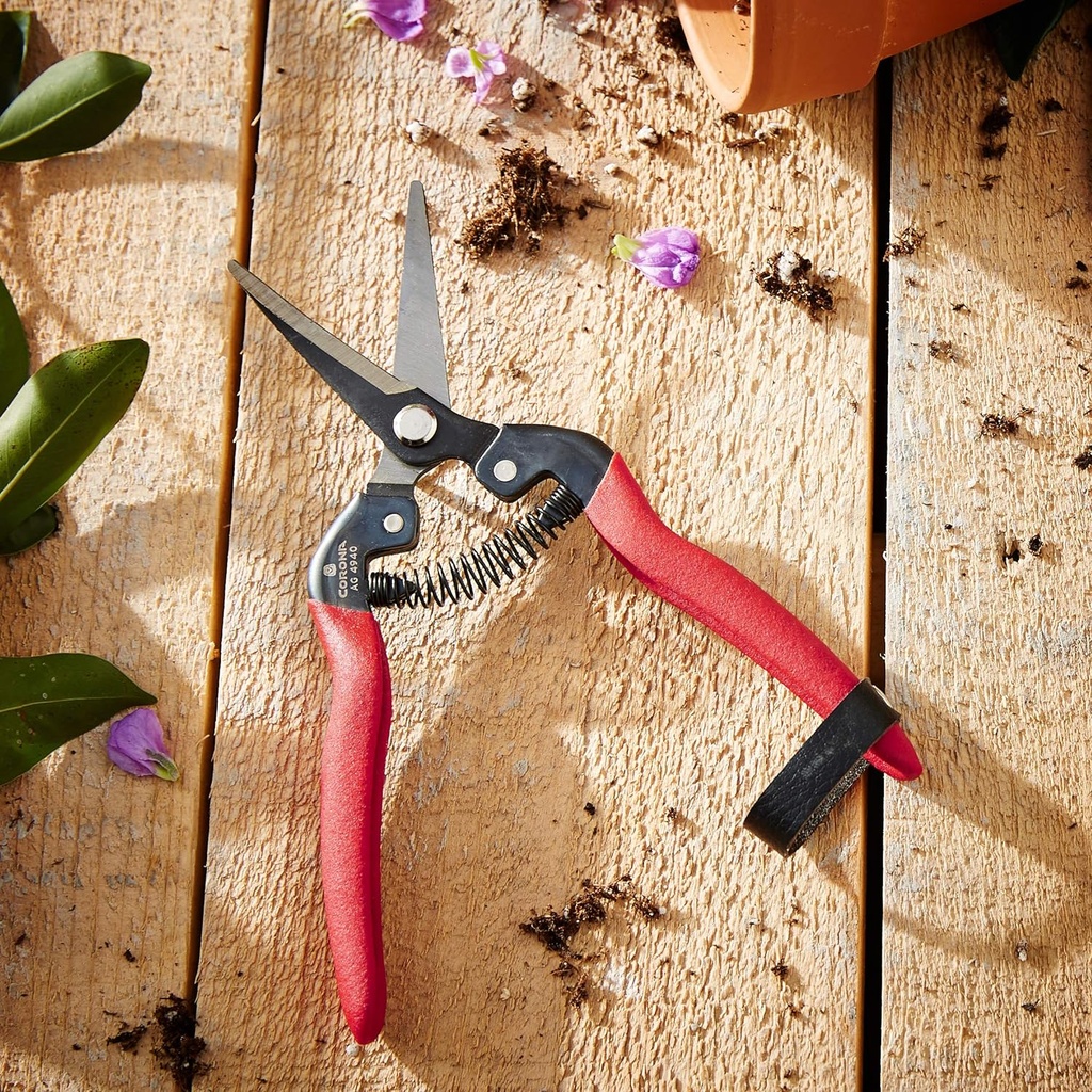 corona-long-curved-snip-3.jpg