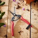 corona-long-curved-snip-3.jpg