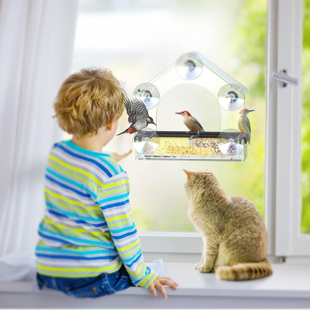 clear-window-bird-feeder-with-5-extra-st-6.jpg