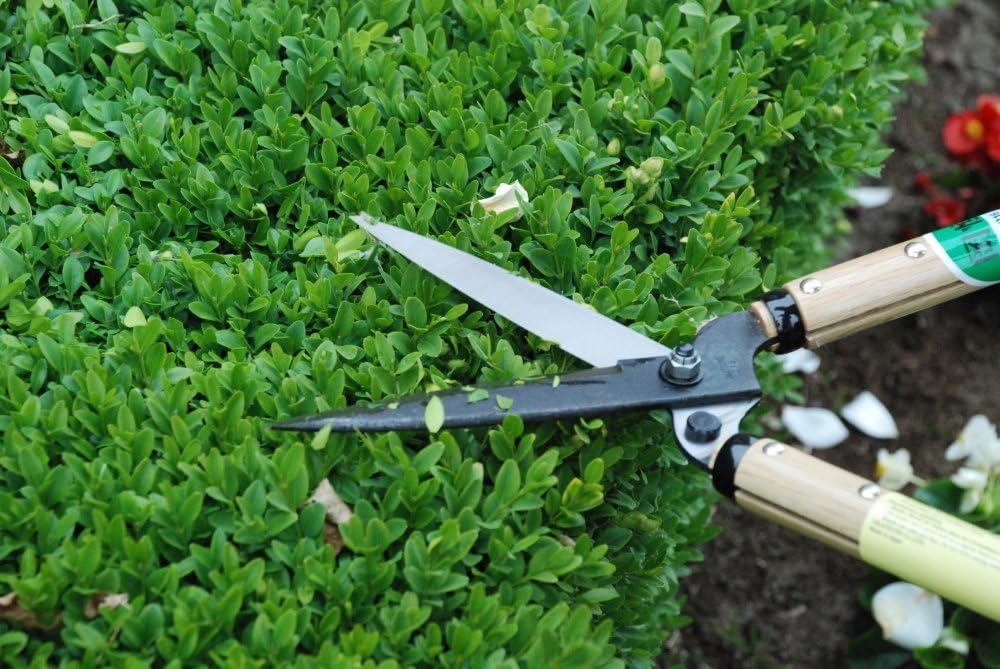 okatsune-precision-hedge-shears-6-blade--2.jpg