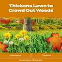 scotts-turf-builder-winterguard-fall-wee-4.jpg