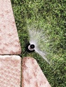 rain-bird-1804appr25-pressure-regulating-5.jpg