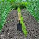 dewit-welldone-serrated-trowel-heavy-dut-3.jpg