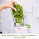 prepara-herb-savor-eco-whitegreen-3.jpg
