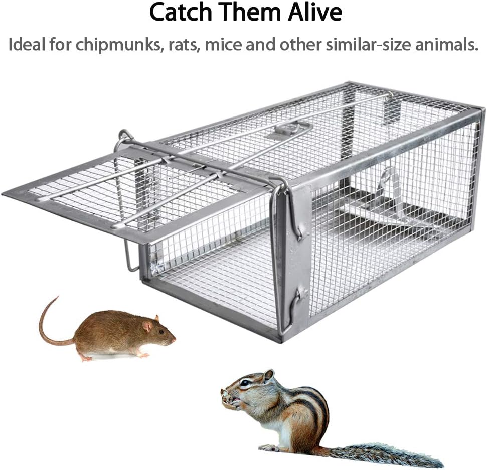 gingbau-chipmunk-trap-humane-live-mouse--2.jpg