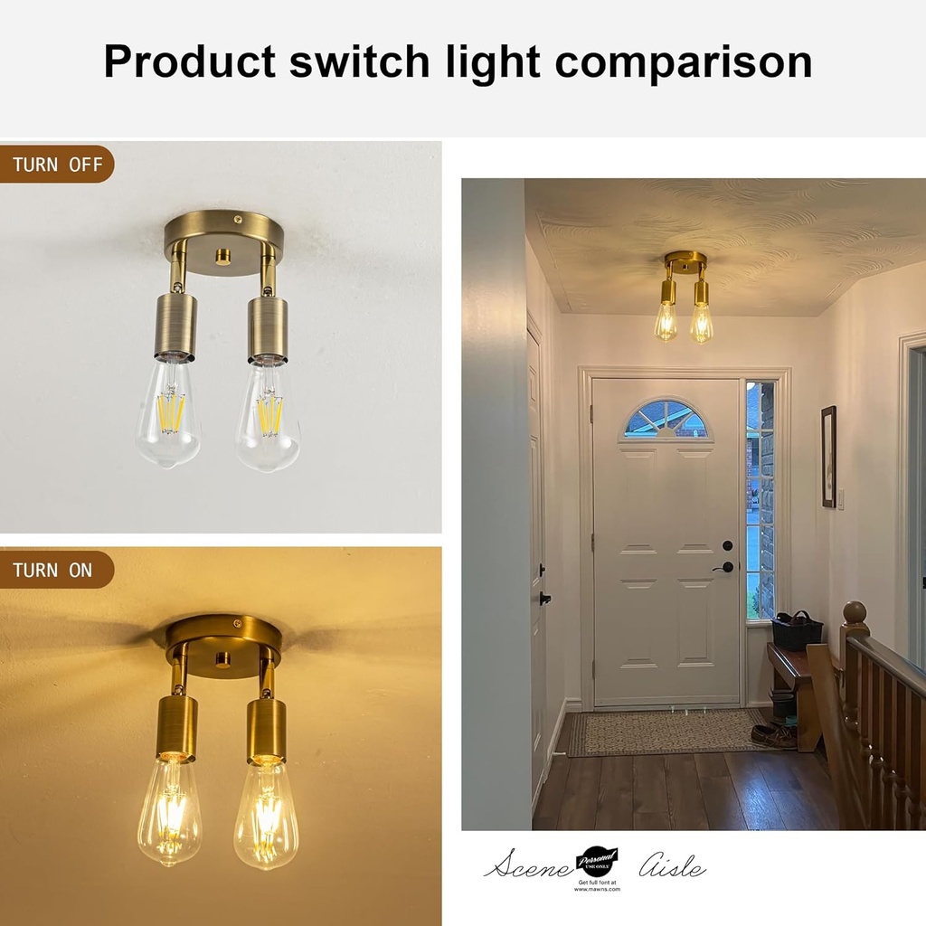 ceiling-light-fixture-2-bulbs-gold-finis-4.jpg