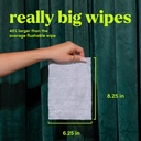 goodwipes-flushable-butt-wipes---vitamin-2.jpg