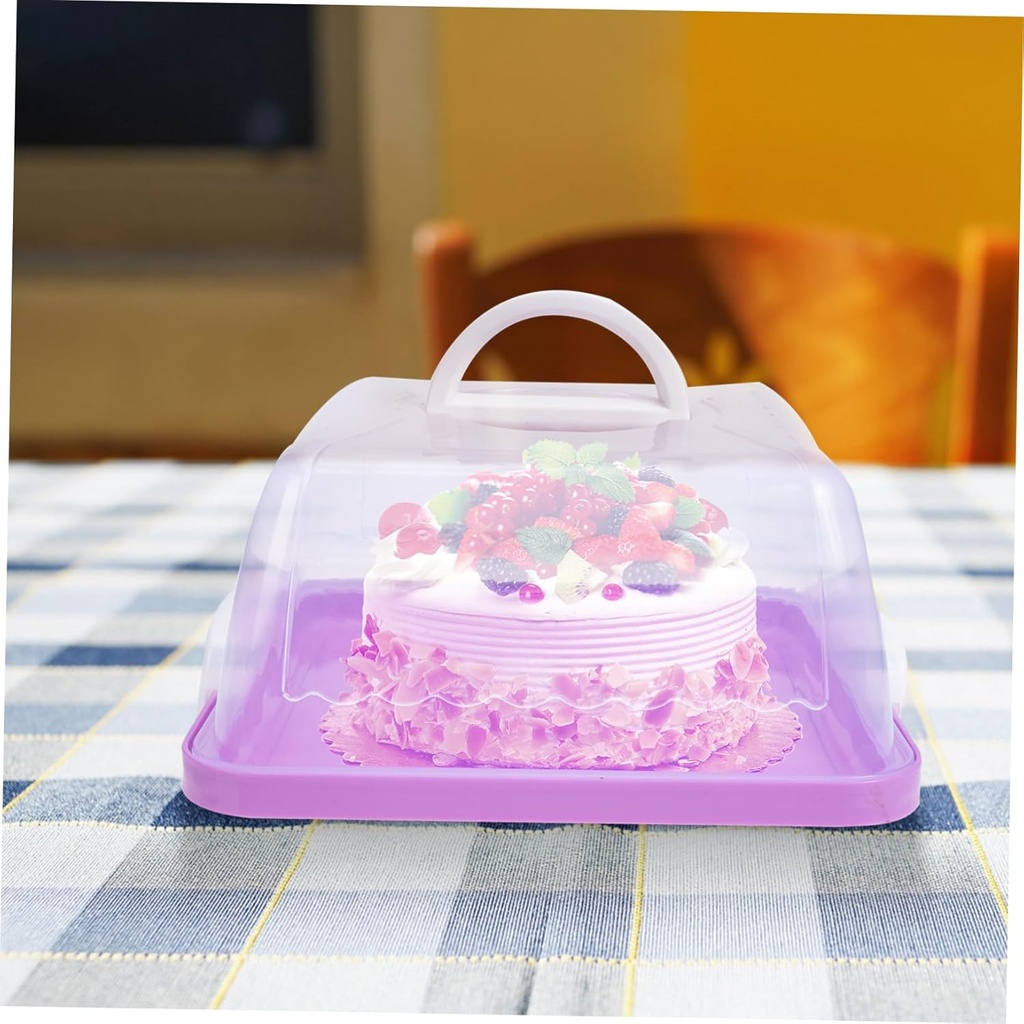 plastic-cake-boxes-for-birthday-cake-con-4.jpg