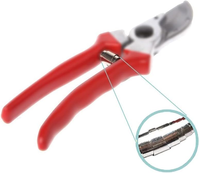 gofidin-12pcs-pruner-replacement-springs-4.jpg
