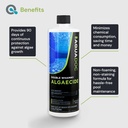 copper-pool-algaecide-for-swimming-pool--3.jpg
