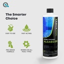 copper-pool-algaecide-for-swimming-pool--6.jpg