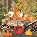 hogardeck-outdoor-fall-decorations-for-h-6.jpg