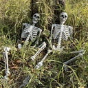wocst-54ft165cm-halloween-skeleton-full--6.jpg